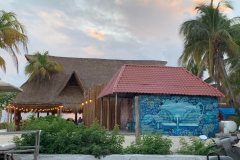 262892627_409763457485037_1620475321395311224_n