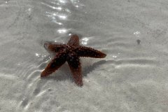 263316490_336877667784054_1649483393315328968_n