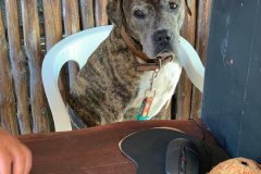 261826743_611983316680027_5975594536180844524_n