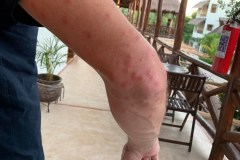 263291420_399208608613983_8782343429901464713_n