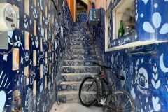 263157811_436203851327841_3635608513011606920_n