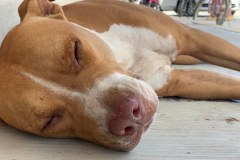 262257781_630475571632922_64679788789821374_n